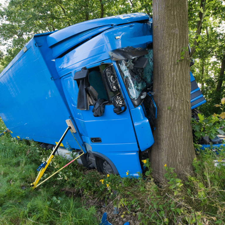 En la foto se ve un camión de color azul que impactó contra un árbol.