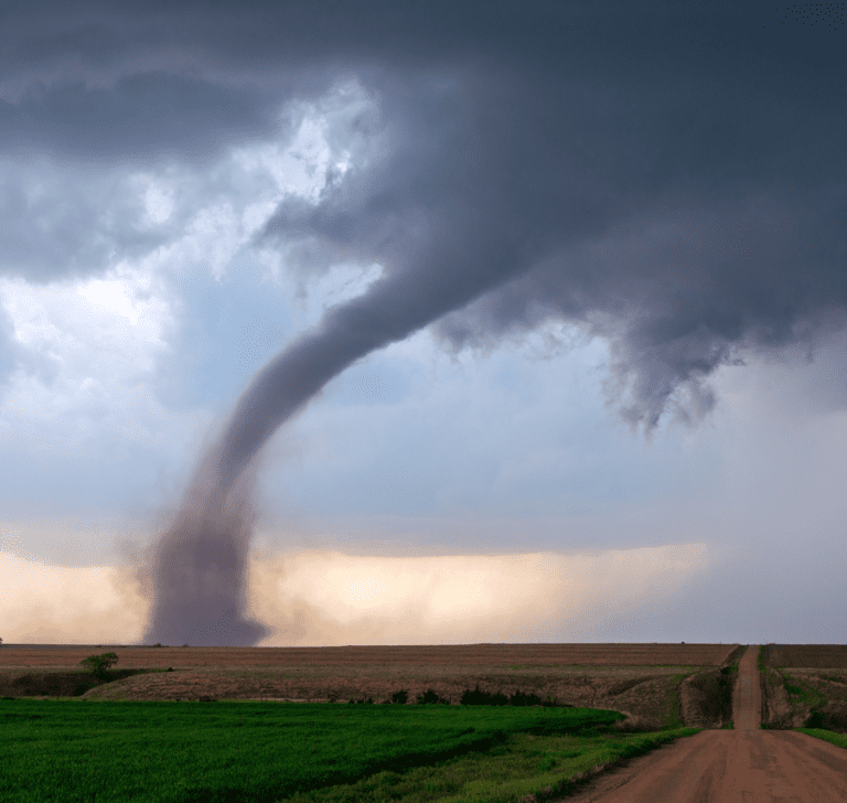 En la imagen se muestra un tornado en una carretera