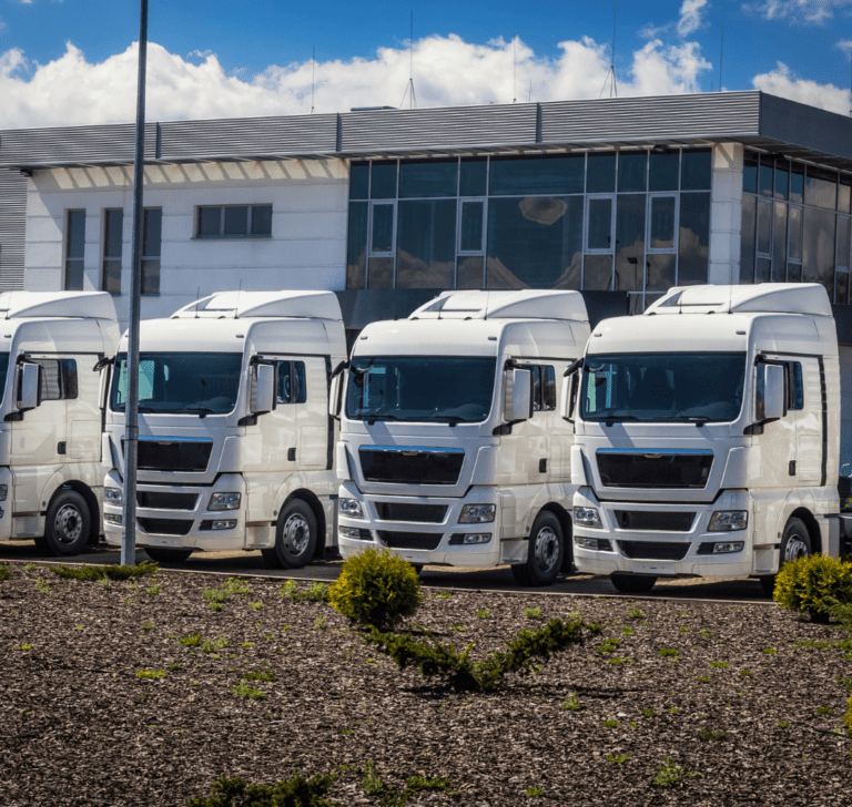 En la imagen se muestra una flota de camiones