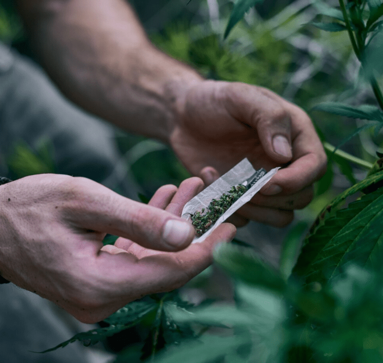 En la imagen se muestra una persona sosteniendo marihuana