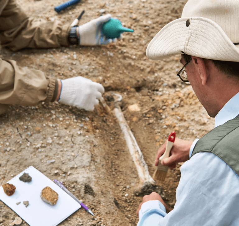 En la imagen se muestran palentólogos trabajando