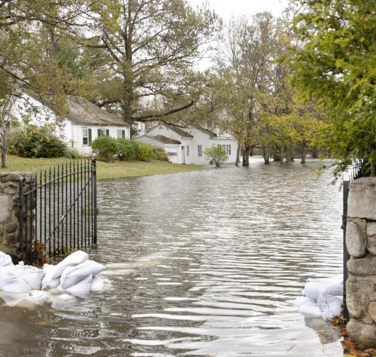 En la imagen se muestra el resultado de un huracán