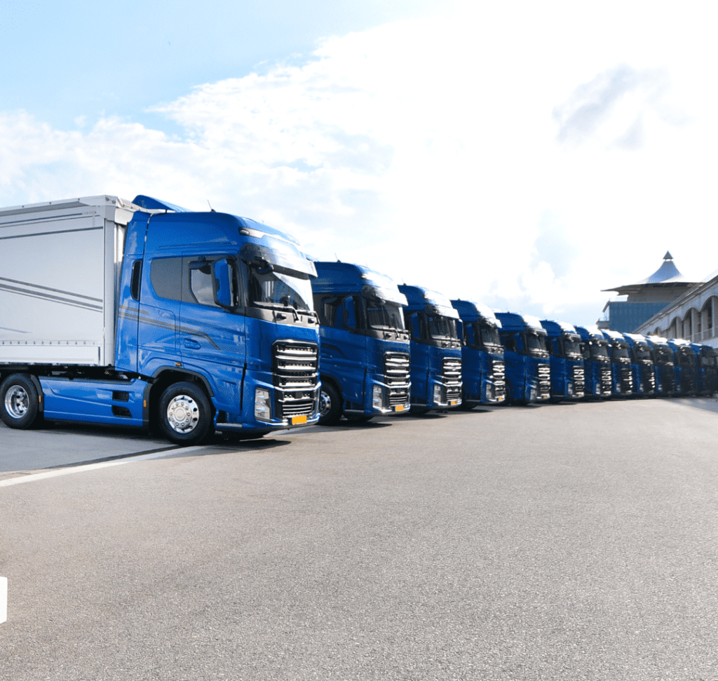 En la imagen se muestra una flota