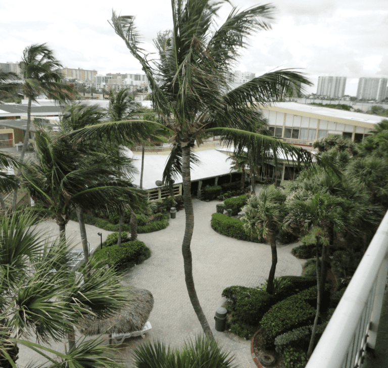 En la imagen se muestra el resultado de un huracán