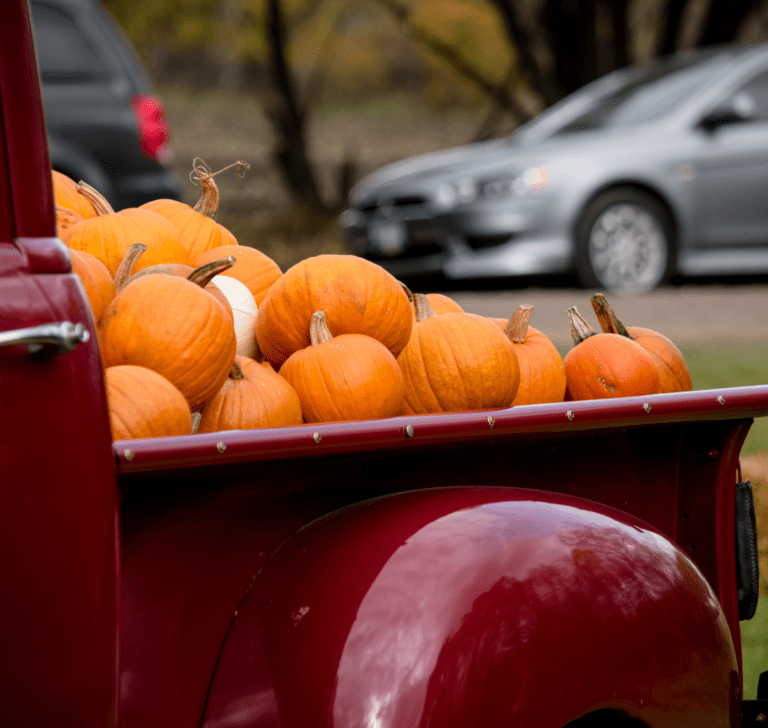 En la imagen se muestra un camión cargando calabazas