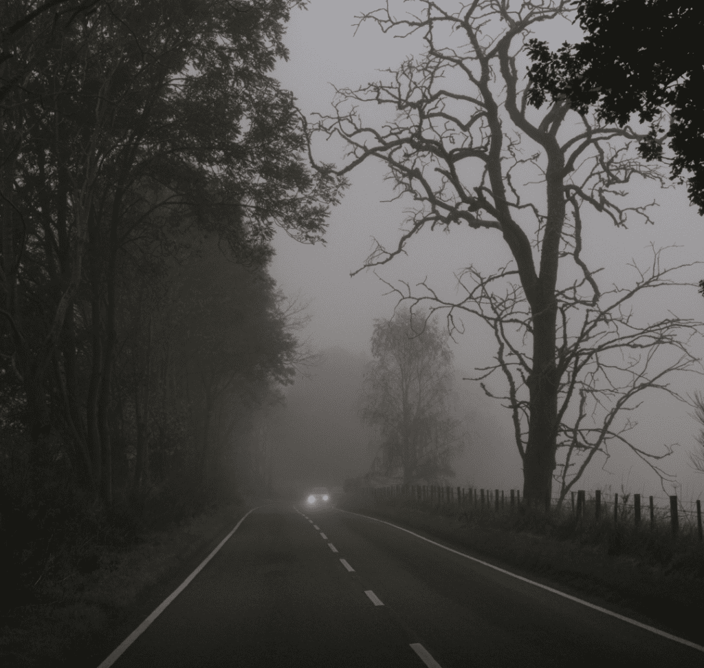 En la imagen se muestra un camino espeluznante