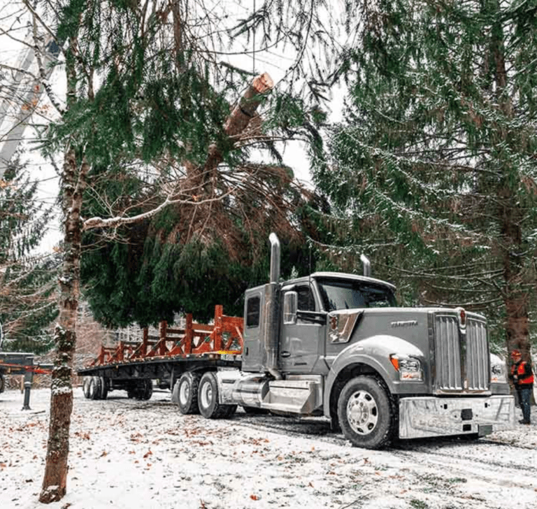 En la imagen se muestra el camión que transportará el árbol de Navidad del Capitolio
