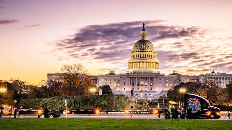 En la imagen se muestra el Árbol de Navidad del Capitolio