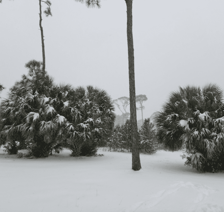 En la imagen se muestra una tormenta de invierno en Florida