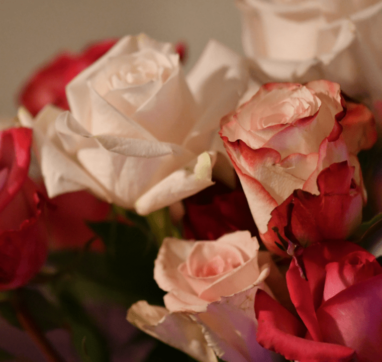 En la imagen se muestran flores