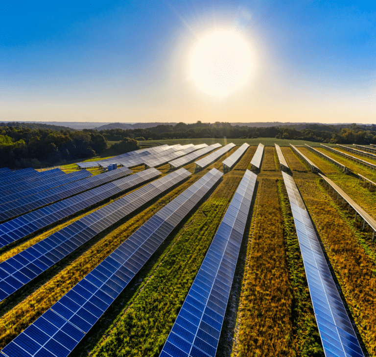 En la imagen se muestra un campo con páneles solares