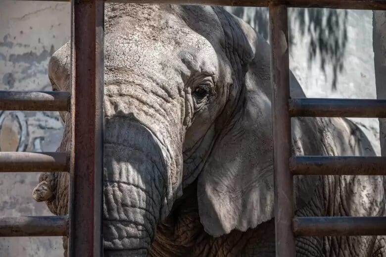 Foto Gobierno de Mendoza