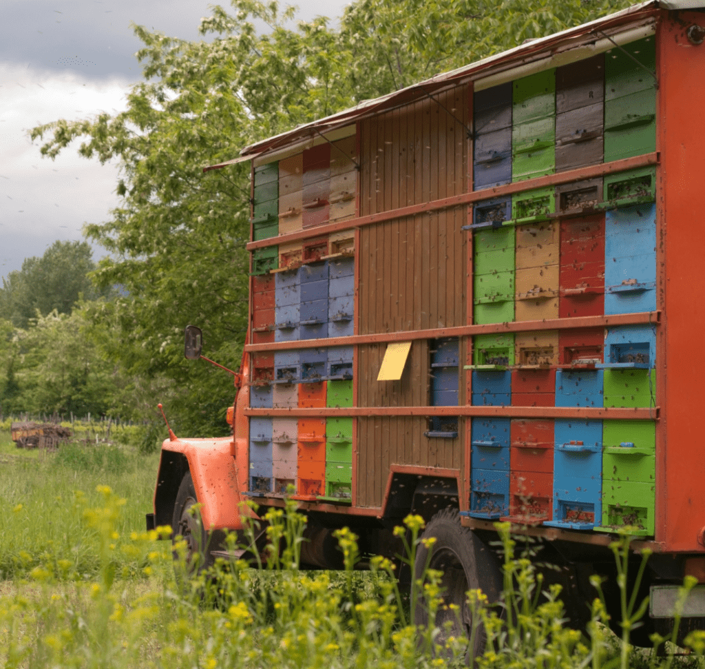 En la imagen se muestra un camión de abejas