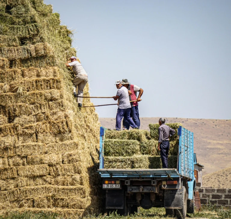La importancia del transporte agrícola en la cadena de suministro
