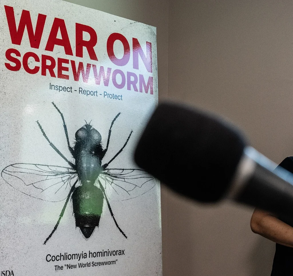 New World Screwworm Cases Rise in Texas as Origin Remains Unknown